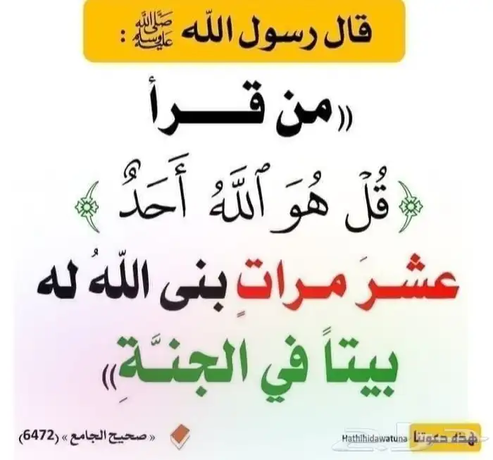 سواق موجود في الرياض معي رخصة نقل ثقيل الرياض 0