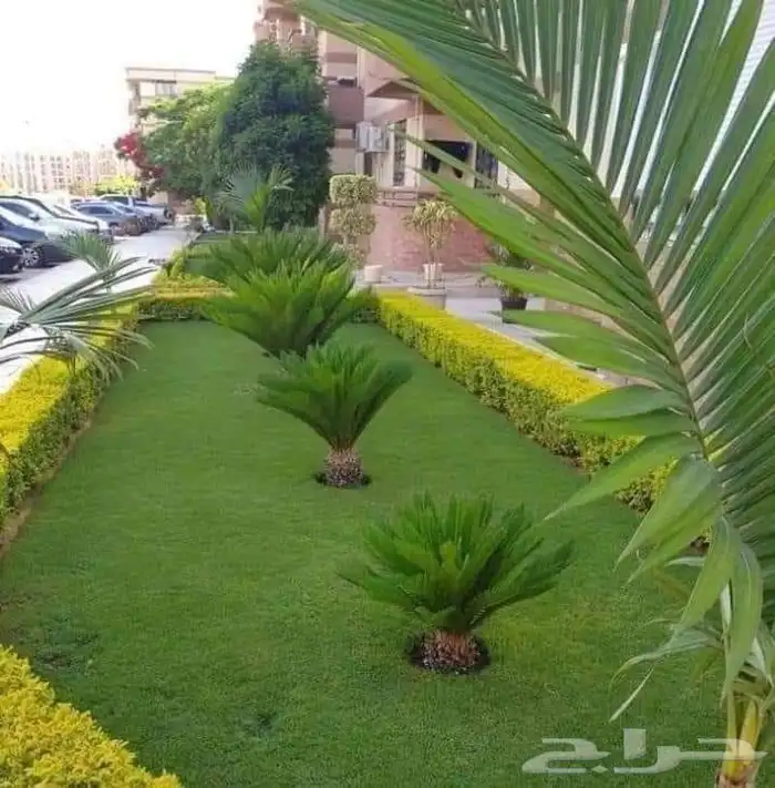 تيل طبيعي وشبكات الري 0