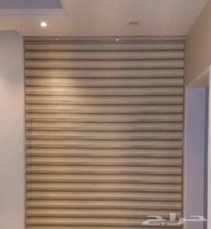 ستاير الزيبرا 1