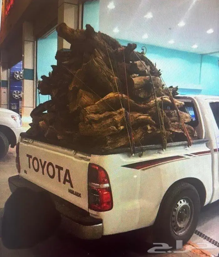 حط يابس شرط تواصل واتس اب 0