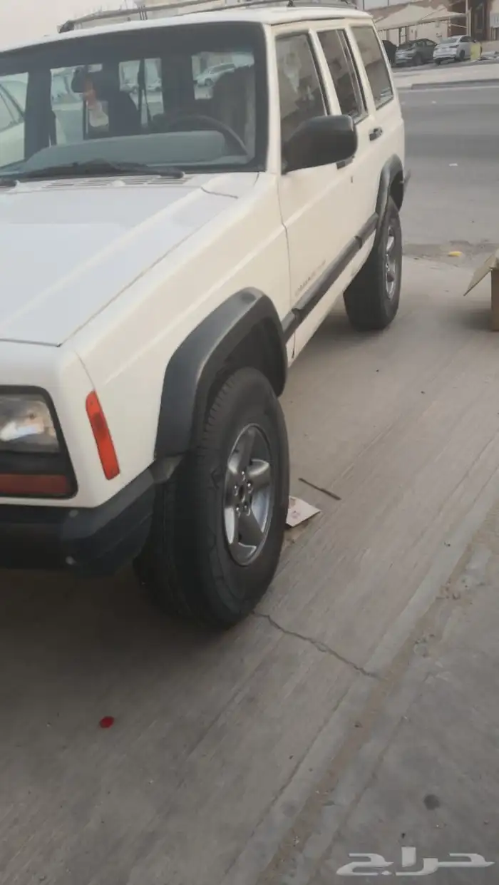 جنوط نجمه شيروكي شرط بدون رجه 1