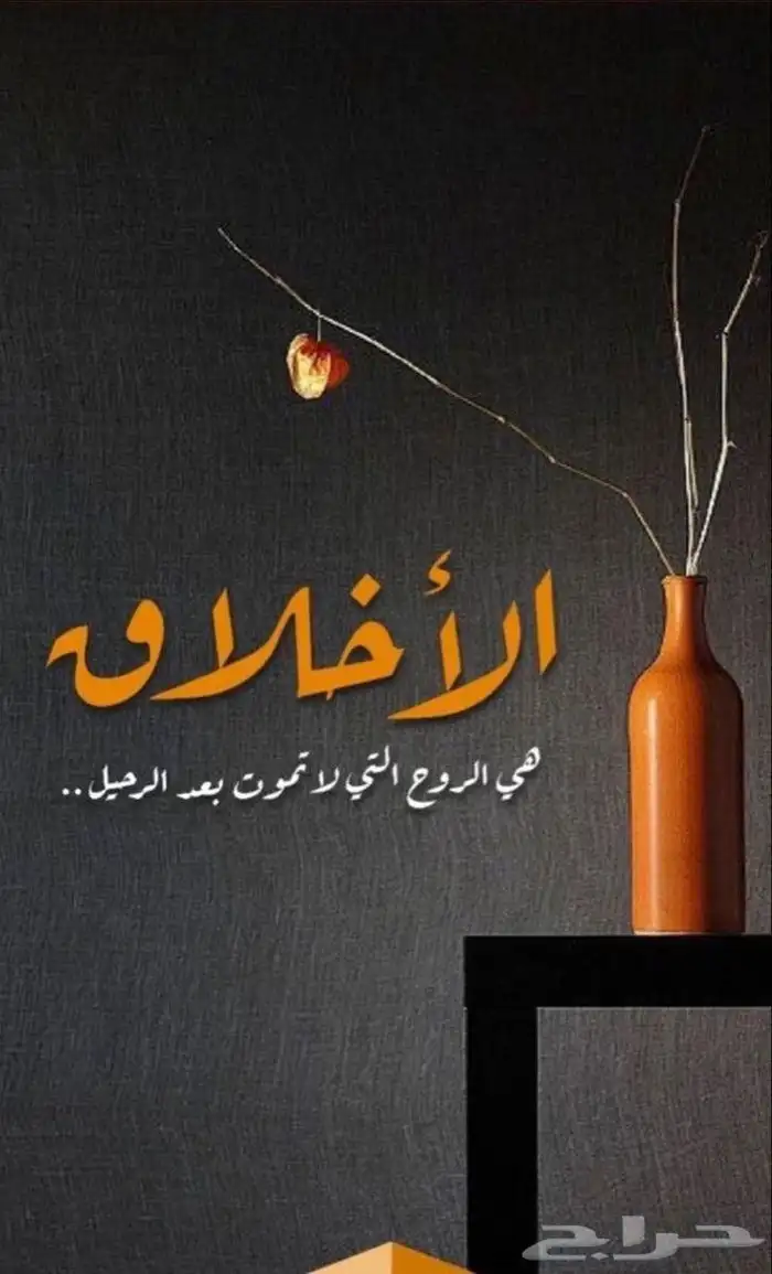 أبحث عن عمل 3