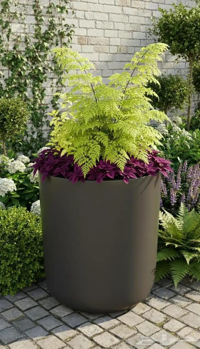 مع مراكن الامواج غير شكل بيتك 4