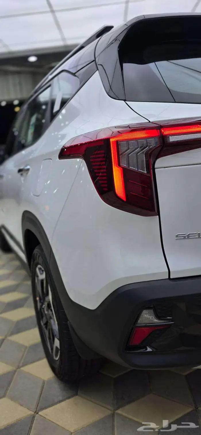 سيلتوس استاندر مطور 2026 5