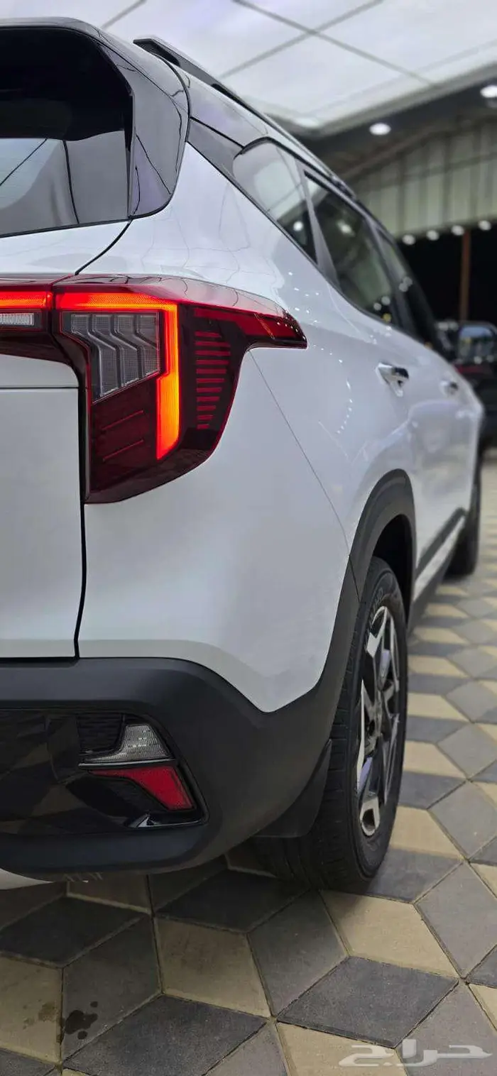 سيلتوس استاندر مطور 2026 4