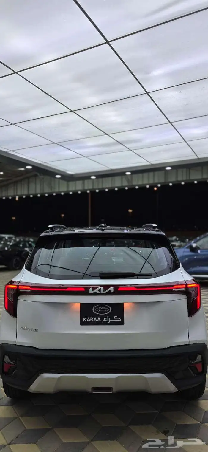 سيلتوس استاندر مطور 2026 7