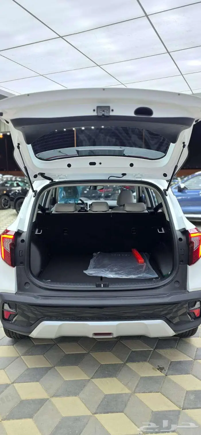 سيلتوس استاندر مطور 2026 6