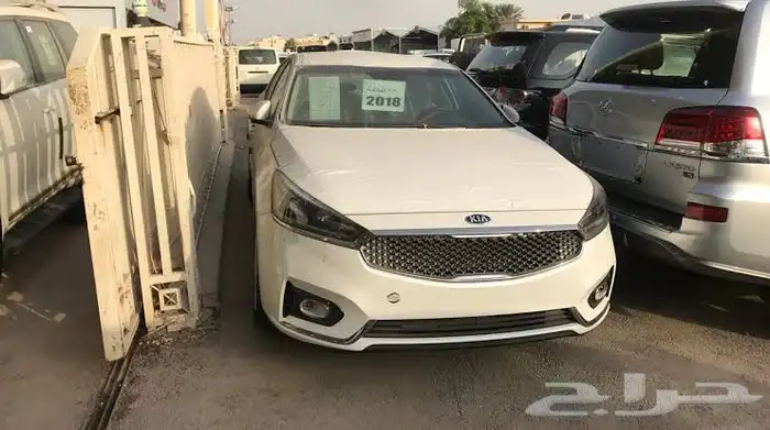 مطلوب مطلوب مطلوب كادينزا 4