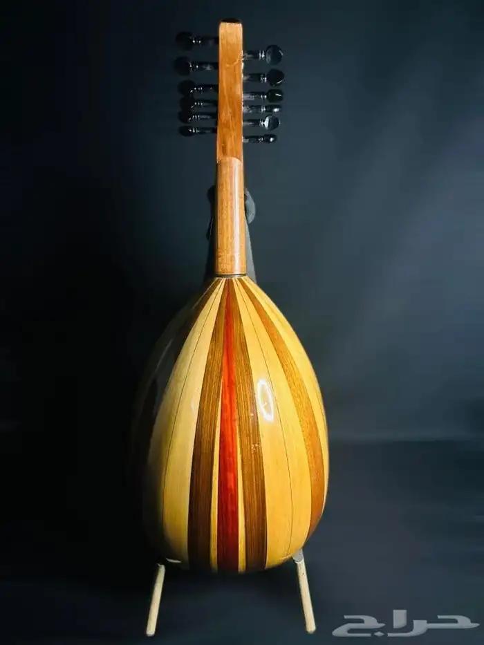 بكج العود الموسيقي للبنات - عود موسيقي بناتي جديد للبيع 3