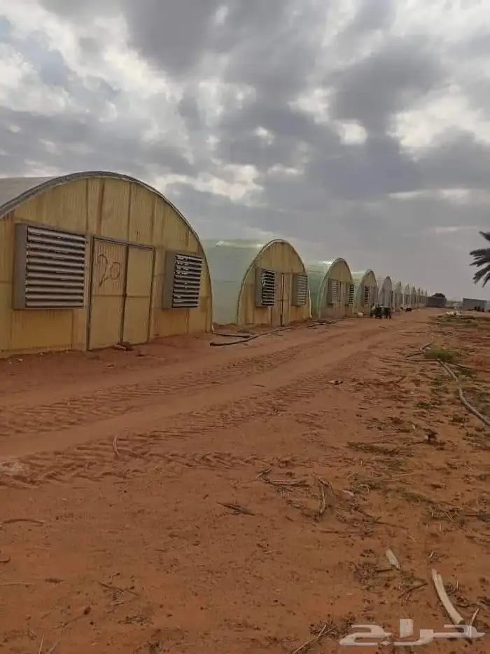 بيوت محميه للبيع 1