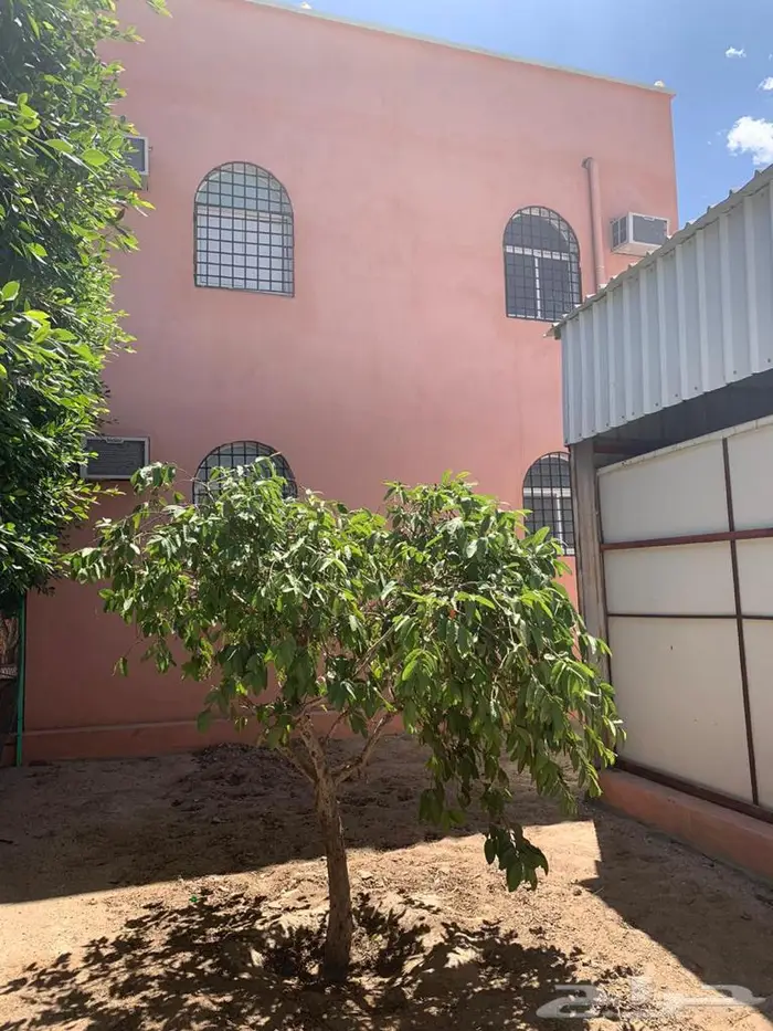 للبيع فيلا دورين وملحق مع حديقة خارجيه في المحالة 10