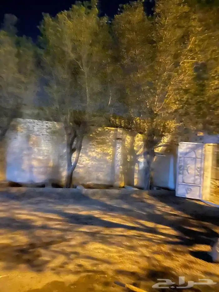 شقتين في الشقيق للايجار سنوي او شهري 3