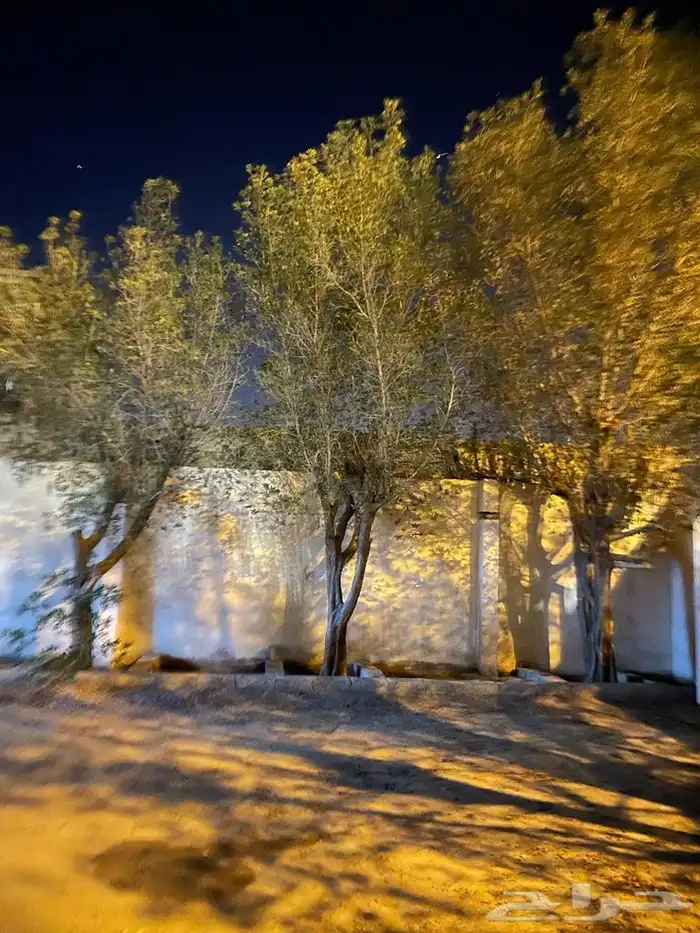 شقتين في الشقيق للايجار سنوي او شهري 4