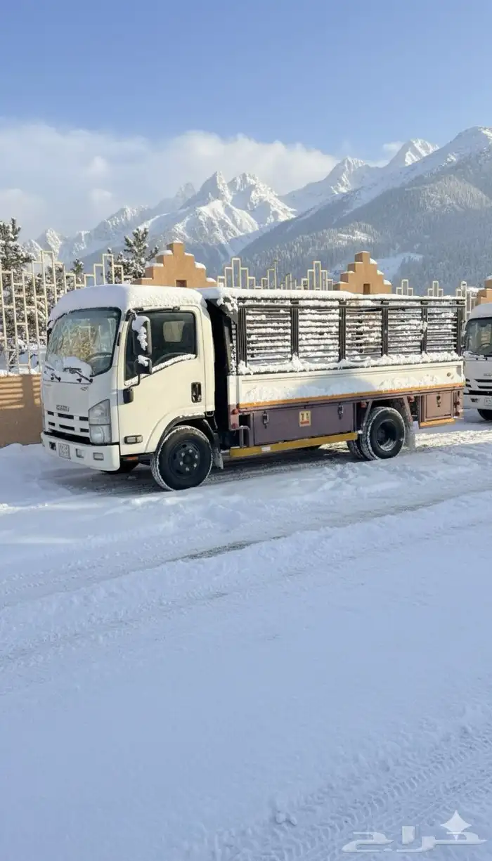 دينا نقل عفش عمل موجود مفك تركيب 0