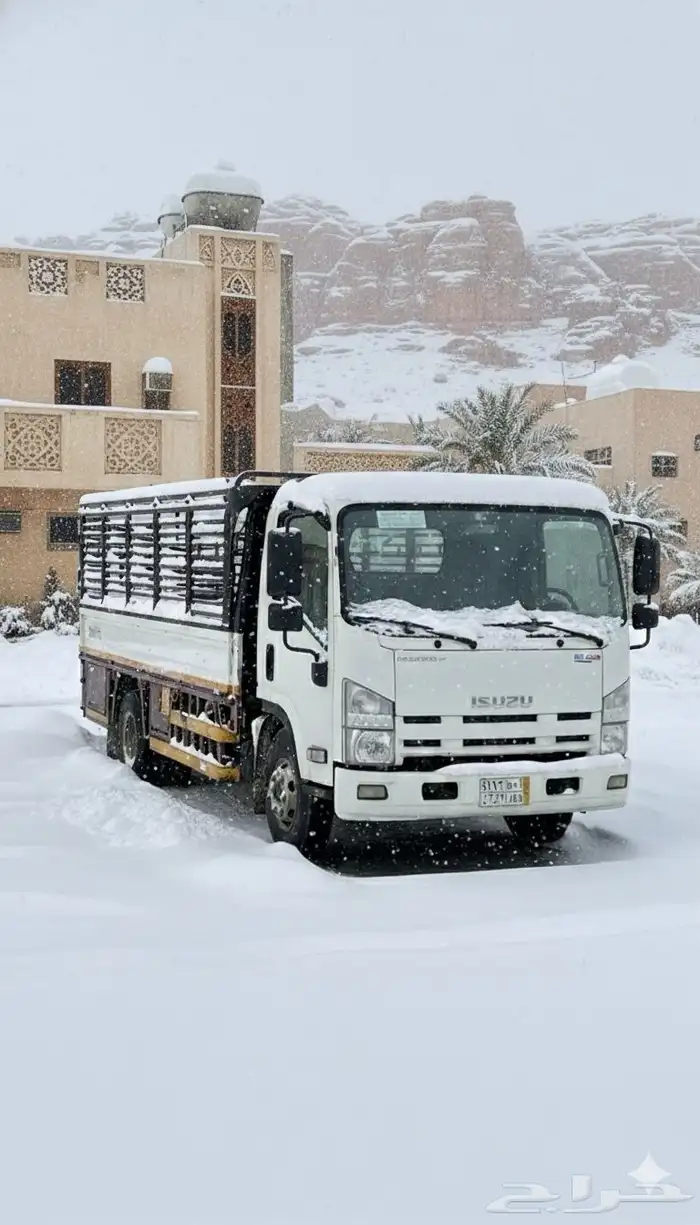 دينا نقل عفش من بريده الي انحاء الممل ة 0