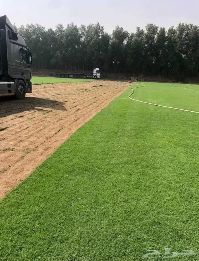 نجيل طبيعي 5