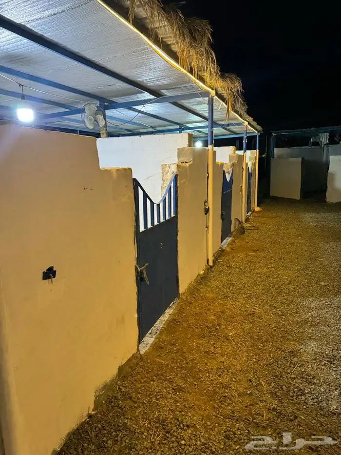 بوايك للايجار 3