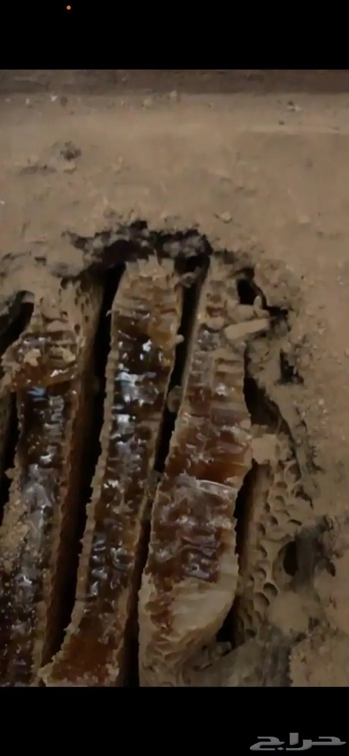 عسل جبلي حر على الشرط 0