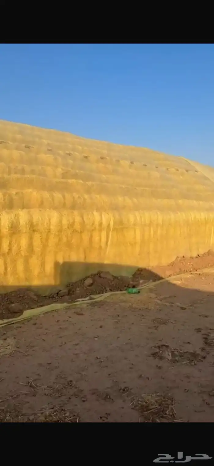 رودس ناعم شد80 وتحت حق السنه ذي 4