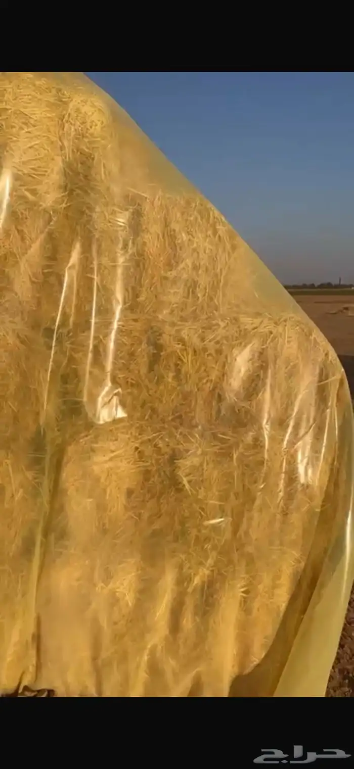 رودس ناعم شد80 وتحت حق السنه ذي 2