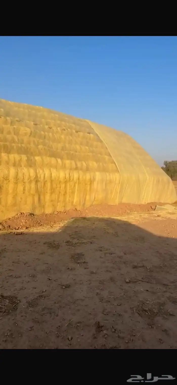 رودس ناعم شد80 وتحت حق السنه ذي 0