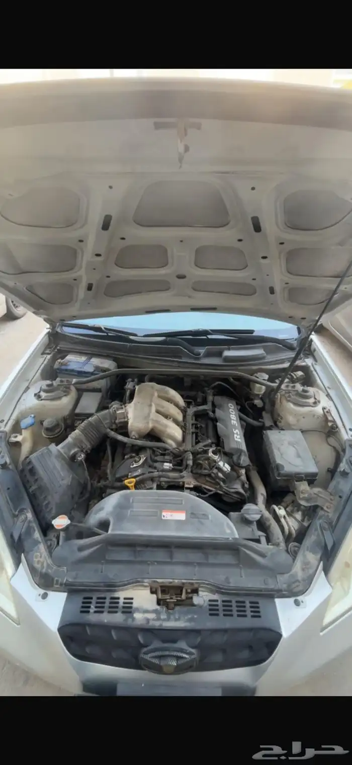 جنيسس كوبية رياضية للبدل المناسب 11