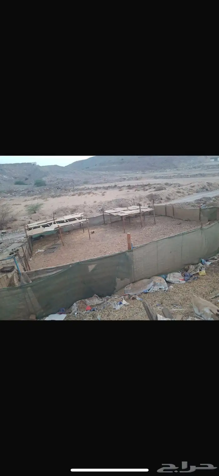 شبك حلال للبيع 2