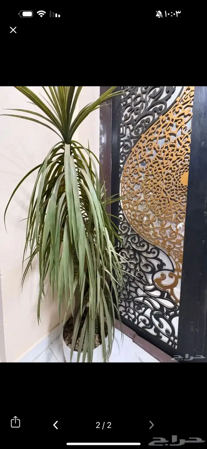 شجر زينة فاخر للمنزل 1