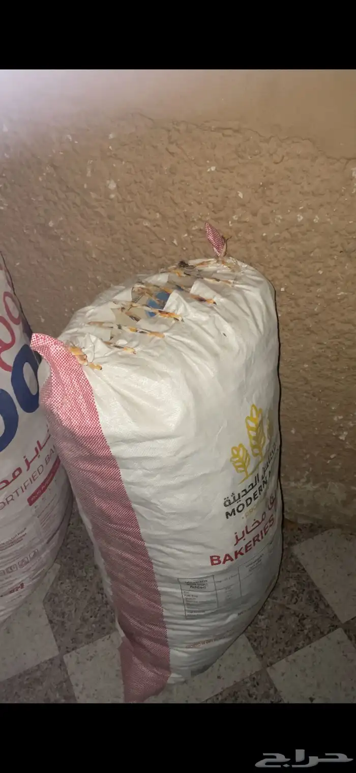 خبز نظيف للغنم 0