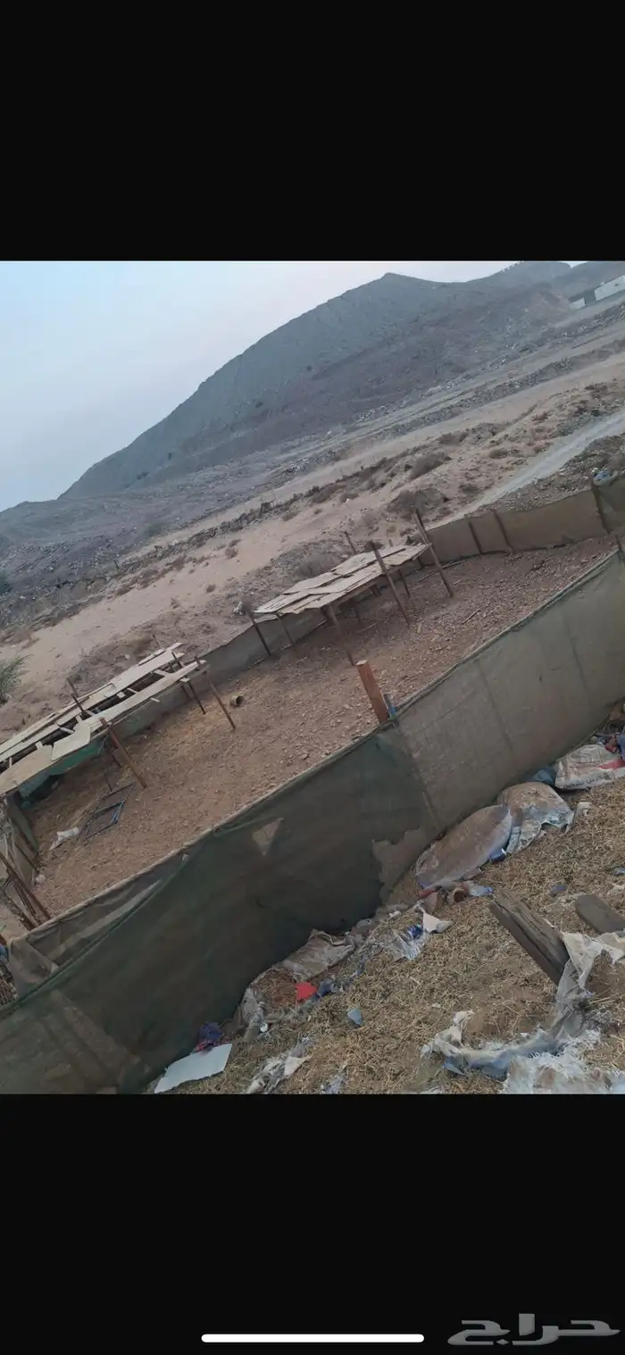 شبك حلال للبيع 0