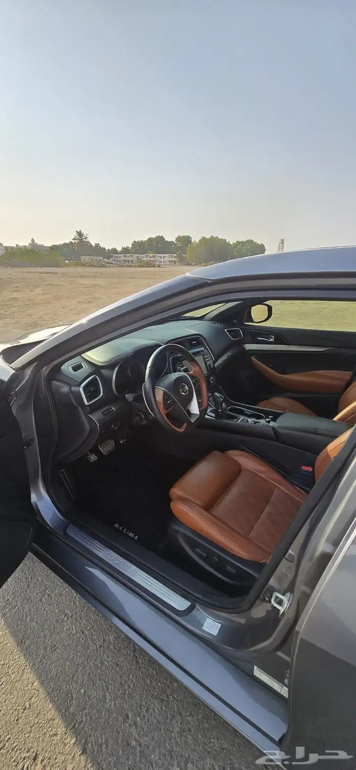 مكسيما 2020 فل كامل 12