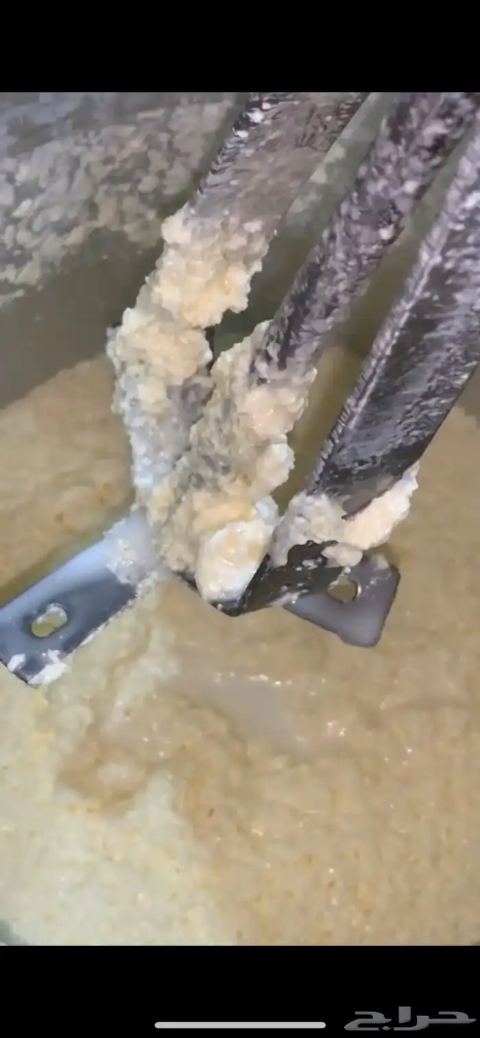 تتوفر مرسه ب العسل و السمن البلدي على الشرط 3