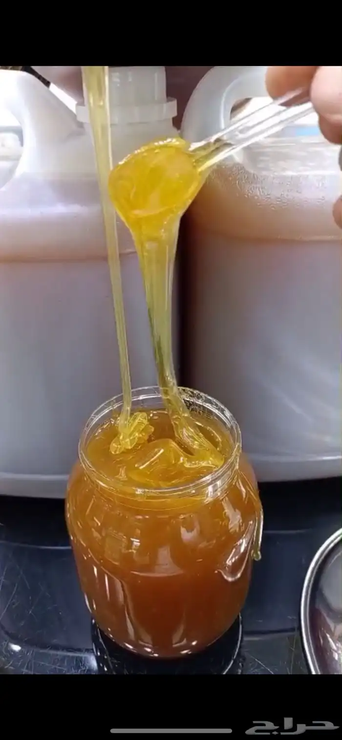 عسل بنجابي الكيلو 119 1