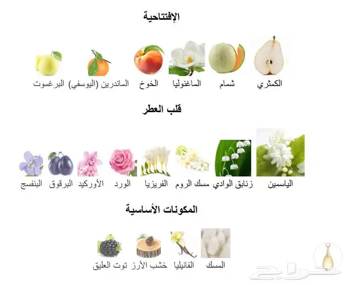 عينة عطر مس ديور و عينة عطر جادور من ديور 4