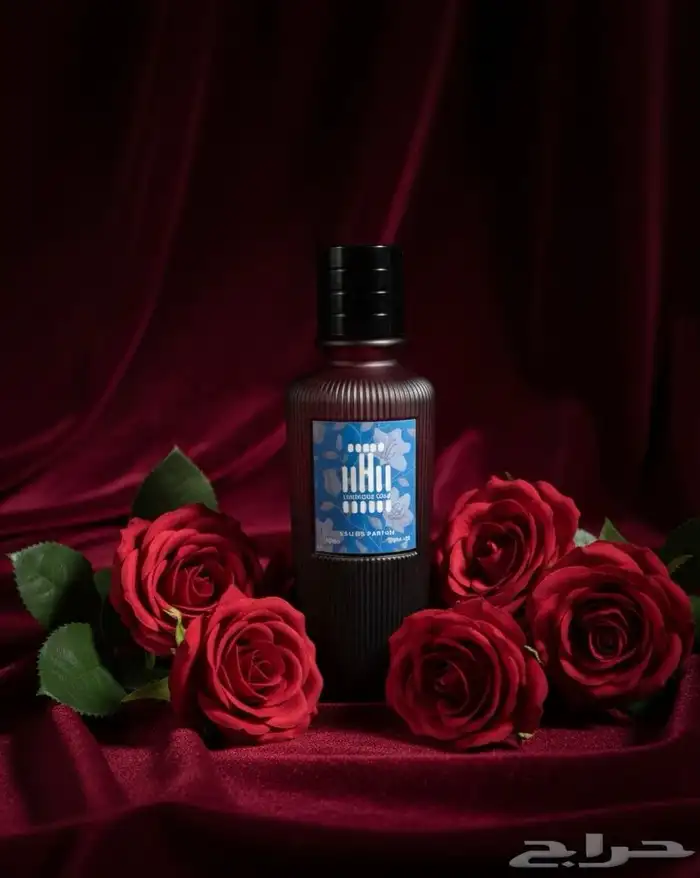 تصوير فوتغرافي 0