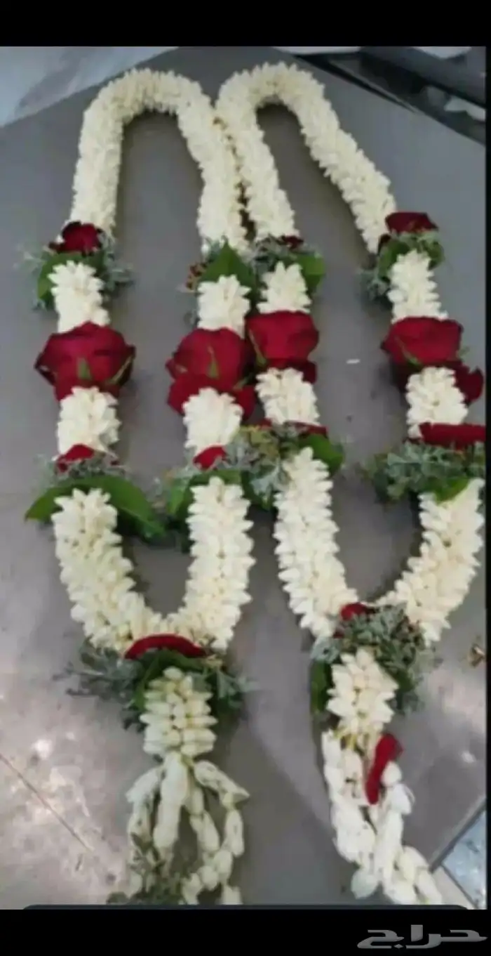 فل ورد طبيعي لتواصل والحجز وتساب 24