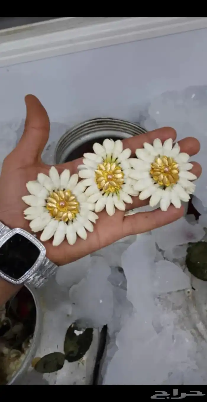 فل ورد طبيعي لتواصل والحجز وتساب 31