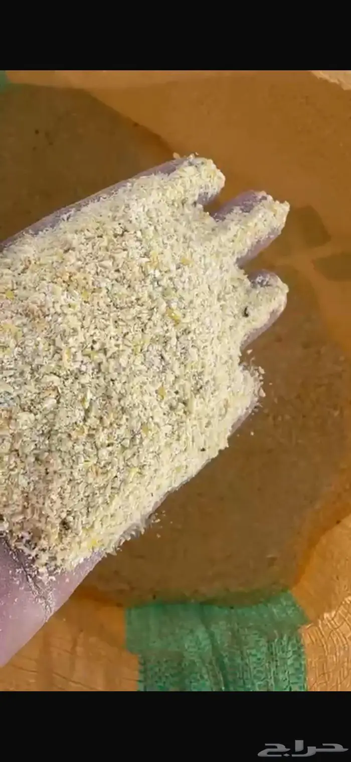 ذره صفراء مطحونه 1