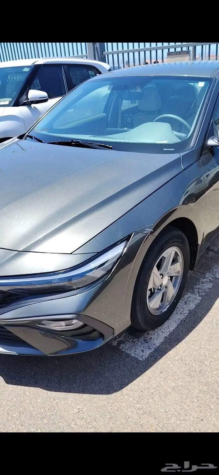 التترا 2024 للتنازل عبد اللطيف 1