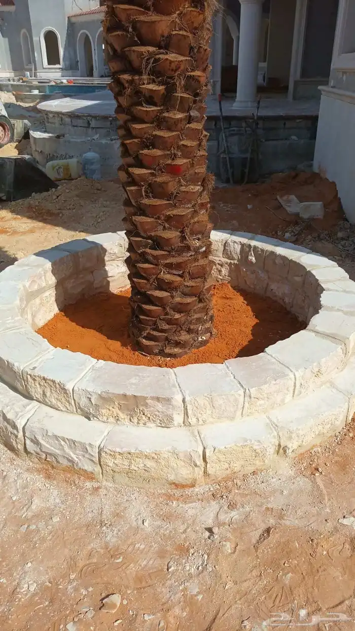 مشتل تنسيق حدائق 1