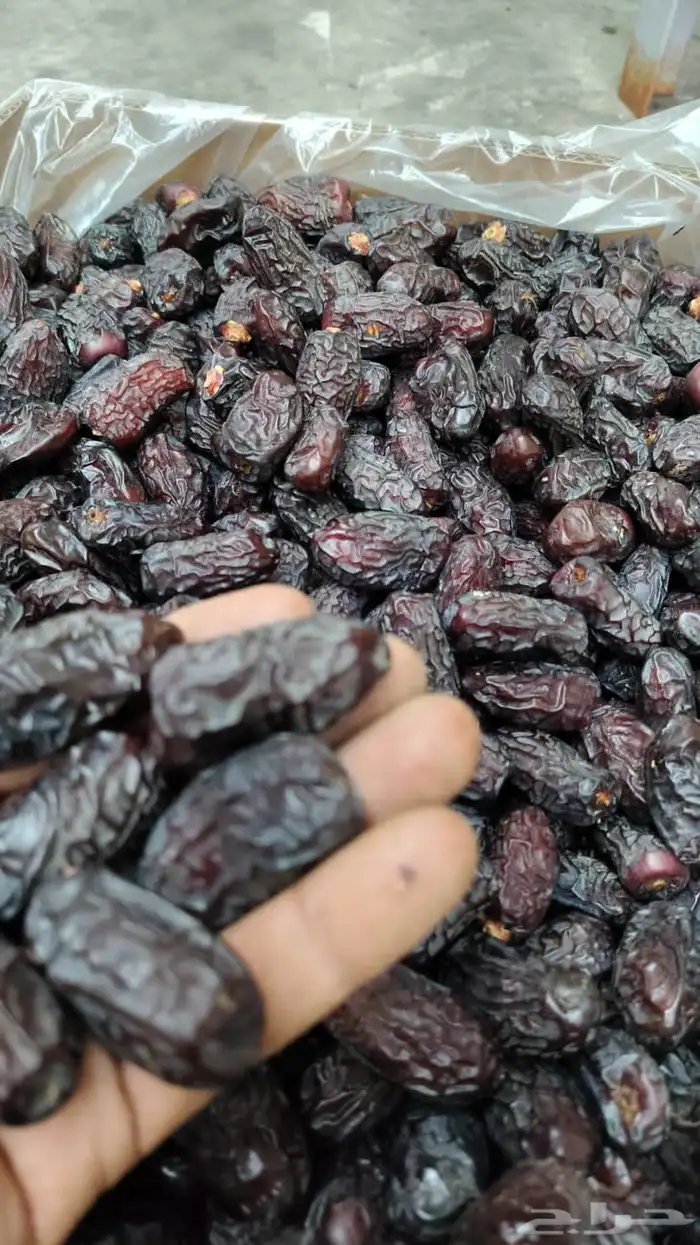 تمر علف للحلال ناشف أكياس مليانه ماشاء الله تبارك 4
