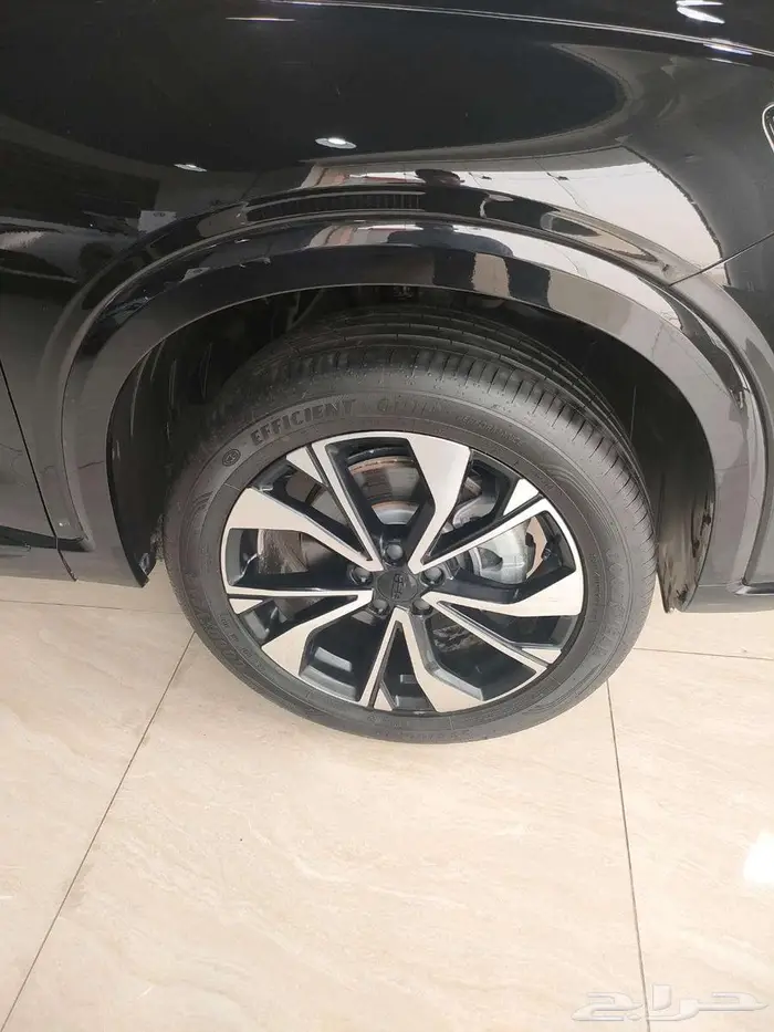 جيلي توجيلا 2025 9