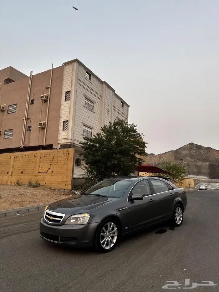 كابرس 2013 LTZ 27