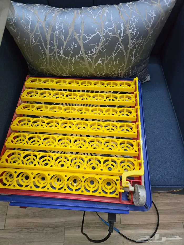 فقاصه 50 بيضه 0