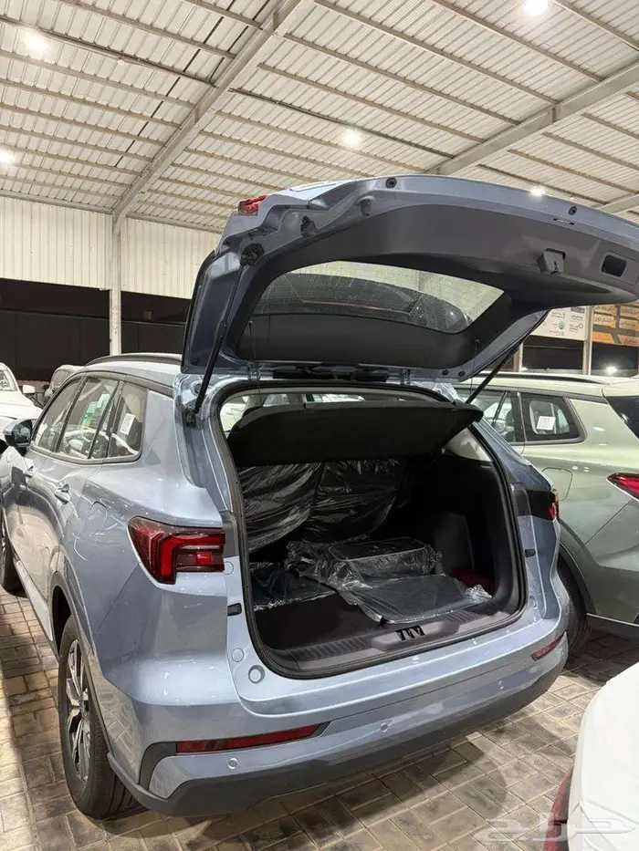 فورد تيريتوري امبيانتي 2