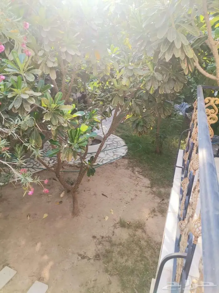 فيلا للبيع 1