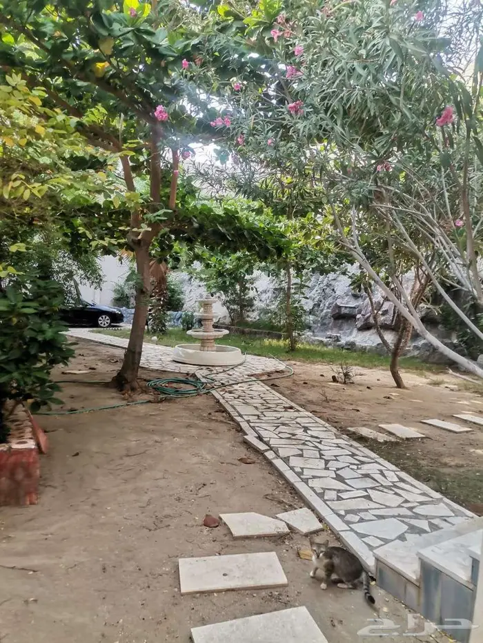 فيلا للبيع 19