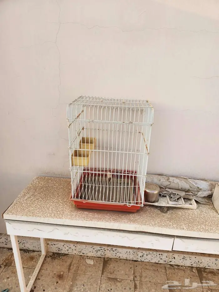 قفص طيور 0