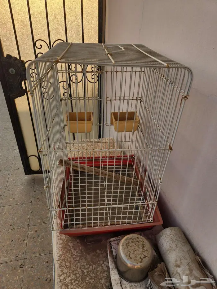 قفص طيور 1