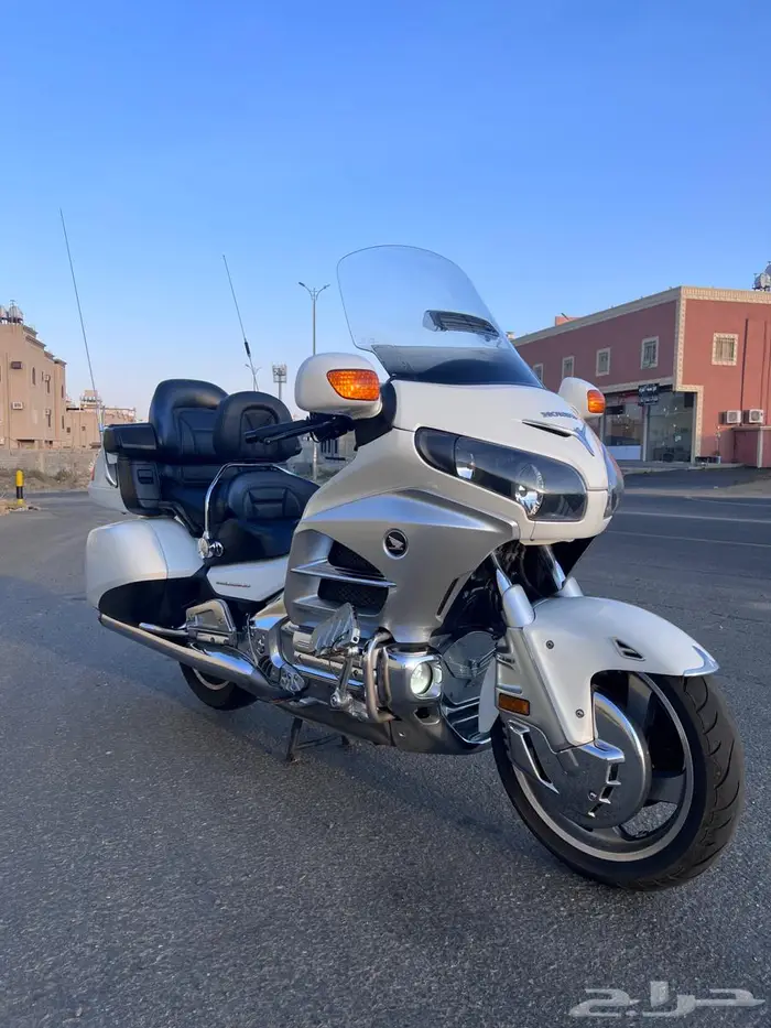 قولد وينق 2012 1